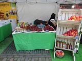 IMG_1822