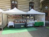 IMG_1823