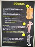 IMG_2788
