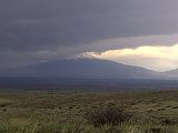 IMG_036